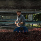 Coffee Processing Thailand (Three Dots)