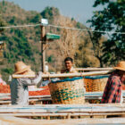Myanmar Coffee Processing (Biome Coffee)